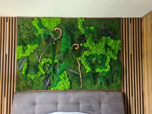 Exkluzivní mechový obraz s rostlinami 200cm x 100cm