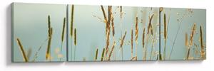 Obraz - Luční okamžik (170x50 cm)