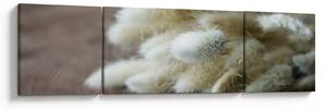 Obraz - Zaječí ocásek (170x50 cm)