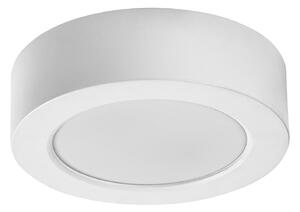 Rabalux SHAUN PLUS LED venkovní stropní svítidlo 75071