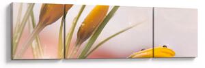Obraz - Jarní květy (170x50 cm)