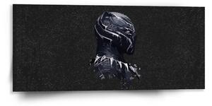 Sablio Obraz BLACK PANTHER z profilu Vesmír - 110x50 cm