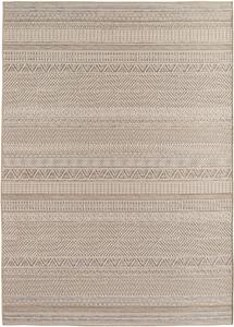 Ayyildiz, Běhoun Desert 1303 beige - na ven i na doma, 80x250, béžová, chodba / předsíň