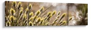 Obraz - Zeleň (170x50 cm)