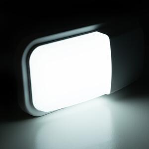 T-LED LED fasádní svítidlo MURUS-W bílé Denní bílá