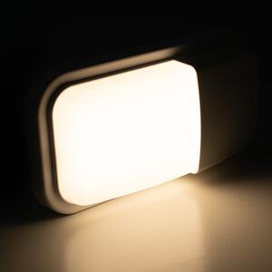 T-LED LED fasádní svítidlo MURUS-W bílé Studená bílá