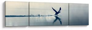Obraz - Potáplice (170x50 cm)