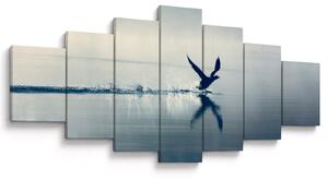 Obraz - Potáplice (210x100 cm)