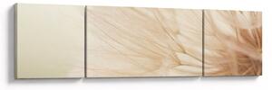 Obraz - Detaily květu (170x50 cm)