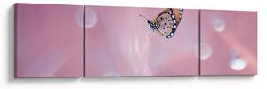 Obraz - Motýlek (170x50 cm)