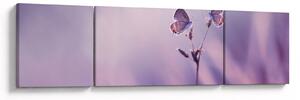 Obraz - Fialoví motýlci (170x50 cm)