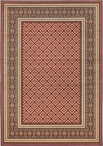 Kusový koberec FD Standard Apium Terakota - 60 x 120 cm