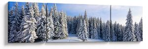 Obraz - Zima v lesích (170x50 cm)