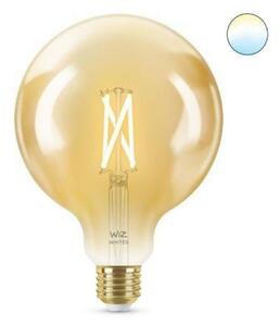 LED Žárovka WiZ Tunable White Filament Amber 8718699786816 E27 G125 6,7-50W 640lm 2000-5000K, stmívatelná