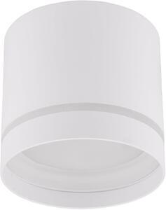 TK Lighting Jet stropní světlo 1x10 W bílá 4334