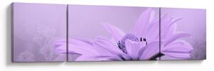 Obraz - Fialová květina (170x50 cm)