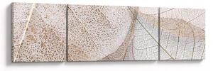 Obraz - Béžové listy (170x50 cm)