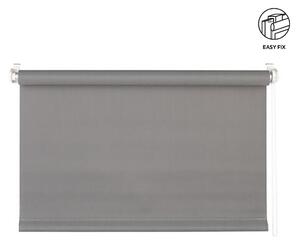 ROLETA, poloprůhledné, 75/160 cm Homeware - Rolety a žaluzie