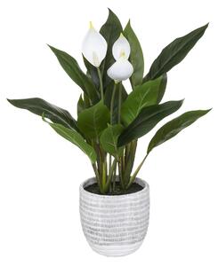 Umělá rostlina LOPATKOVEC, 54 cm