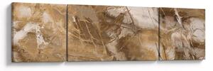 Obraz - Hnědá abstrakce (170x50 cm)