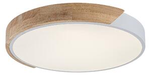 Rabalux Maple2 stropní světlo x24 W bílá-dřevo 71417