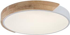 Rabalux Maple2 stropní světlo x42 W bílá-dřevo 71419