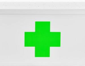 ALTOM Lékárnička, úložný box na léky s vnořeným organizérem, 2v1, s madlem, antibakteriální, 8l