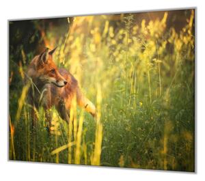 Ochranná deska liška v trávě - 52x60cm / S lepením na zeď