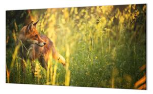 Ochranná deska liška v trávě - 52x60cm / S lepením na zeď