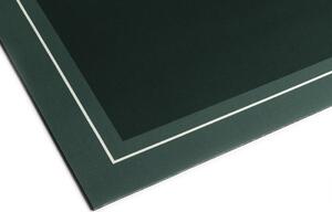 Aqualine Koupelnová předložka 50x80cm, absorpční, zelená
