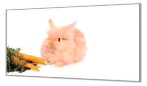 Ochranná deska domácí králíček s mrkví - 52x60cm / S lepením na zeď