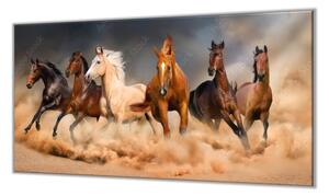 Ochranná deska stádo koní v prachu - 52x60cm / S lepením na zeď