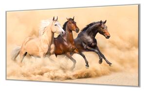 Ochranná deska tři koně v prachu - 40x40cm / Bez lepení na zeď