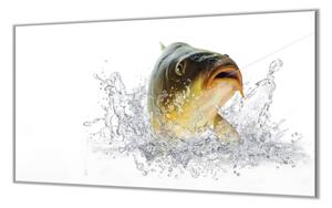 Ochranná deska ryba kapr lysec - 52x60cm / Bez lepení na zeď