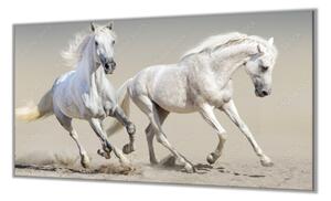 Ochranná deska pár bílých koňů - 52x60cm / S lepením na zeď