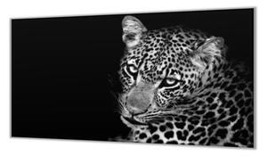 Ochranná deska šelma leopard v černé a bílé - 52x60cm / S lepením na zeď
