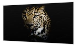 Ochranná deska šelma leopard černé pozadí - 50x70cm / S lepením na zeď
