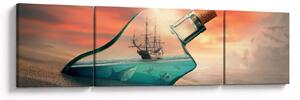 Obraz - Život v láhvi (170x50 cm)