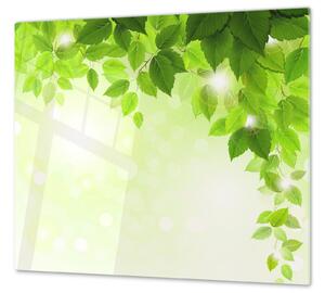 Ochranná deska zelené listí - 50x70cm / Bez lepení na zeď