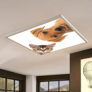 Stmívatelný LED panel s motivem kočka a pes 60x60cm 40W 4200lm CCT, s dálkovým ovládáním
