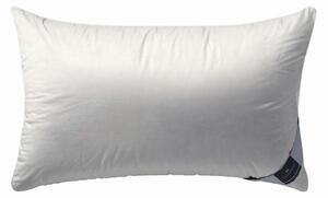 POLŠTÁŘ POD HLAVU, 40/60 cm Billerbeck - Polštáře pod hlavu, Online Only