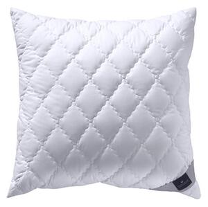 POLŠTÁŘ POD HLAVU, 80/80 cm Billerbeck - Polštáře pod hlavu, Online Only