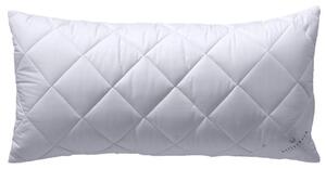 POLŠTÁŘ POD HLAVU, 40/80 cm Billerbeck - Polštáře pod hlavu, Online Only