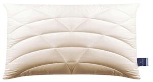 POLŠTÁŘ POD HLAVU, 40/80 cm Billerbeck - Polštáře pod hlavu, Online Only