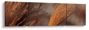 Obraz - Kortaderie (170x50 cm)