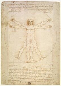 Leonardo da Vinci - Obrazová reprodukce The Proportions of the human figure , c.1492, (30 x 40 cm)