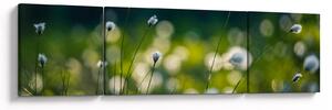 Obraz - Tráva (170x50 cm)
