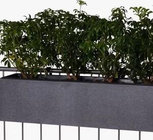 Balkonový truhlík BENNO, vláknocement, šířka 82 cm, šedý