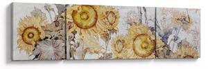 Obraz - Slunečnice ve zdi (170x50 cm)