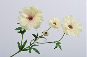 Ranunculus - pryskyřník SILK-KA - růžovo žlutý - 56 cm